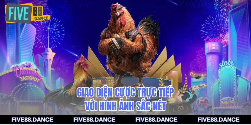 Giao diện cược trực tiếp với hình ảnh sắc nét