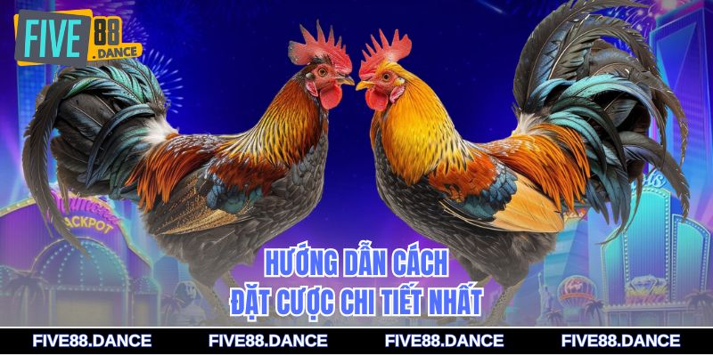 Đá Gà Bồ 67 - Bí Quyết Cá Cược Chiến Thắng 2 Hướng dẫn cách đặt cược chi tiết nhất