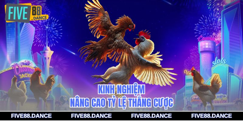 Đá Gà Bồ 67 - Bí Quyết Cá Cược Chiến Thắng 3 Kinh nghiệm nâng cao tỷ lệ thắng cược