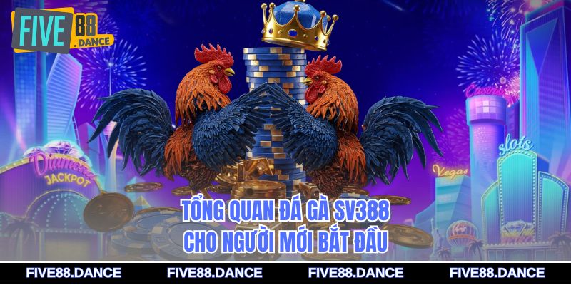 Tổng quan đá gà SV388 cho người mới bắt đầu
